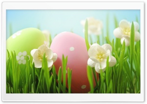 Easter Ultra HD Wallpaper for 4K UHD Widescreen desktop, tablet & smartphone