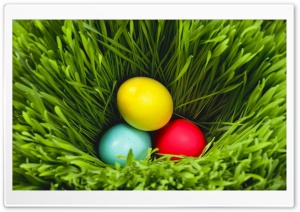 Easter 2013 Ultra HD Wallpaper for 4K UHD Widescreen desktop, tablet & smartphone