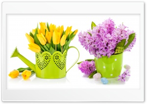 Easter 2022 Spring Colorful Flowers Ultra HD Wallpaper for 4K UHD Widescreen desktop, tablet & smartphone