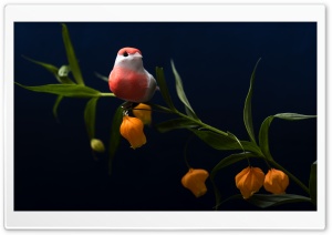 Easter Decorations Ultra HD Wallpaper for 4K UHD Widescreen desktop, tablet & smartphone