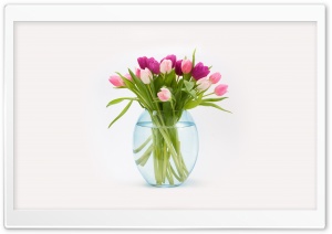 Easter Tulips Flowers Bouquet in a Vase Ultra HD Wallpaper for 4K UHD Widescreen desktop, tablet & smartphone