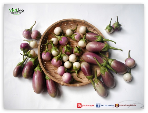 Eggplants UltraHD Wallpaper for Standard 4:3 Fullscreen UXGA XGA SVGA ; iPad 1/2/Mini ; Mobile 4:3 - UXGA XGA SVGA ;