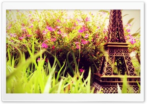Eiffel Flowers Ultra HD Wallpaper for 4K UHD Widescreen desktop, tablet & smartphone