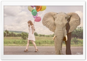 Elephant Ultra HD Wallpaper for 4K UHD Widescreen desktop, tablet & smartphone
