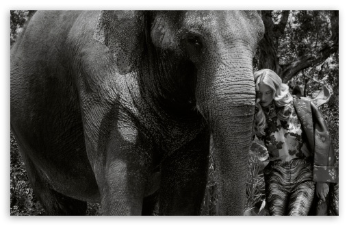 Elephant Friendship UltraHD Wallpaper for Wide 16:10 5:3 Widescreen WHXGA WQXGA WUXGA WXGA WGA ; UltraWide 21:9 ; 8K UHD TV 16:9 Ultra High Definition 2160p 1440p 1080p 900p 720p ; Standard 4:3 5:4 3:2 Fullscreen UXGA XGA SVGA QSXGA SXGA DVGA HVGA HQVGA ( Apple PowerBook G4 iPhone 4 3G 3GS iPod Touch ) ; Smartphone 16:9 3:2 5:3 2160p 1440p 1080p 900p 720p DVGA HVGA HQVGA ( Apple PowerBook G4 iPhone 4 3G 3GS iPod Touch ) WGA ; Tablet 1:1 ; iPad 1/2/Mini ; Mobile 4:3 5:3 3:2 16:9 5:4 - UXGA XGA SVGA WGA DVGA HVGA HQVGA ( Apple PowerBook G4 iPhone 4 3G 3GS iPod Touch ) 2160p 1440p 1080p 900p 720p QSXGA SXGA ; Dual 16:10 5:3 4:3 5:4 3:2 WHXGA WQXGA WUXGA WXGA WGA UXGA XGA SVGA QSXGA SXGA DVGA HVGA HQVGA ( Apple PowerBook G4 iPhone 4 3G 3GS iPod Touch ) ;