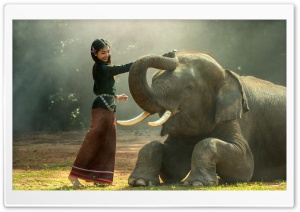 Elephant Training Ultra HD Wallpaper for 4K UHD Widescreen desktop, tablet & smartphone