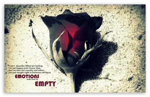 EMOTION AND EMPTY UltraHD Wallpaper for Wide 16:10 Widescreen WHXGA WQXGA WUXGA WXGA ;