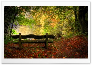 Empty Bench In Fall Scene Ultra HD Wallpaper for 4K UHD Widescreen desktop, tablet & smartphone