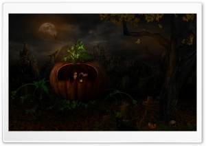 Enchanted Ultra HD Wallpaper for 4K UHD Widescreen desktop, tablet & smartphone