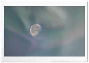 Enchanted Moon Ultra HD Wallpaper for 4K UHD Widescreen desktop, tablet & smartphone