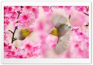 Enchanting Ultra HD Wallpaper for 4K UHD Widescreen desktop, tablet & smartphone