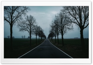 Endless Road 4K UHD Wallpaper for Widescreen and UltraWide Desktop, UltraHD TV, Smartphone, Tablet