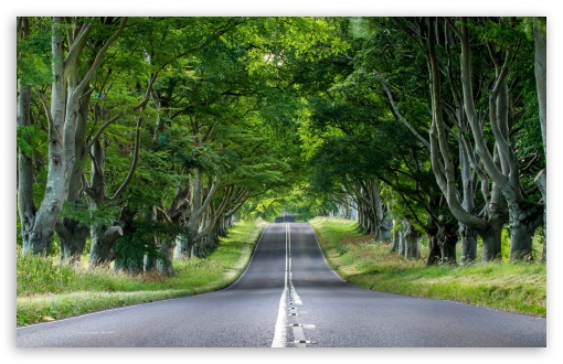 England Asphalt Road UltraHD Wallpaper for HD 16:9 ; Widescreen 16:10 5:3 ;