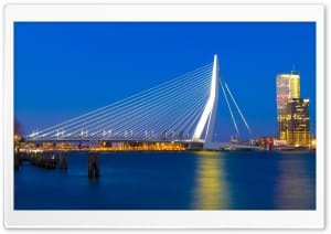 Erasmus Bridge at Night, Rotterdam 4K UHD Wallpaper for Widescreen and UltraWide Desktop, UltraHD TV, Smartphone, Tablet