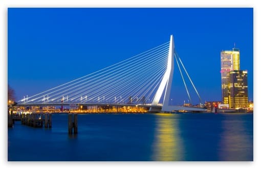 Erasmus Bridge at Night, Rotterdam UltraHD Wallpaper for UHD 16:9 ; HD 16:9 ; UltraWide 21:9 24:10 32:10 ; Widescreen 16:10 ; Fullscreen 3:2 ; Tablet 1:1 ; Mobile 9:16 9:19.5 9:20 9:21 9:22 ; Dual 16:10 ;