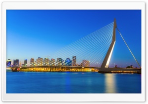 Erasmus Bridge over the Nieuwe Maas, Rotterdam 4K UHD Wallpaper for Widescreen and UltraWide Desktop, UltraHD TV, Smartphone, Tablet