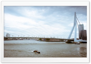 Erasmus Bridge, Rotterdam, Netherlands Ultra HD Wallpaper for 4K UHD Widescreen desktop, tablet & smartphone