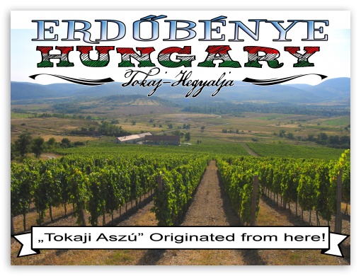 Erdbnye - Tokaj-hegyalja UltraHD Wallpaper for Fullscreen 4:3 ;