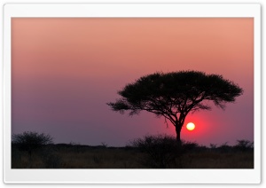 Etosha National Park Namibia Ultra HD Wallpaper for 4K UHD Widescreen desktop, tablet & smartphone