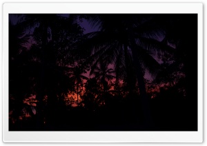 Evening Ultra HD Wallpaper for 4K UHD Widescreen desktop, tablet & smartphone