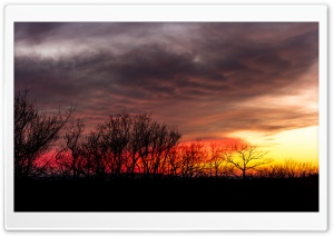 Evening Clouds Ultra HD Wallpaper for 4K UHD Widescreen desktop, tablet & smartphone