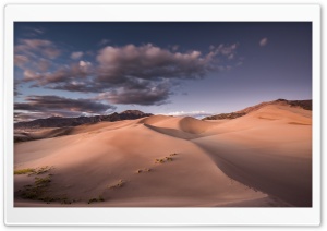 Evening Light Over the Desert Dunes 4K UHD Wallpaper for Widescreen and UltraWide Desktop, UltraHD TV, Smartphone, Tablet