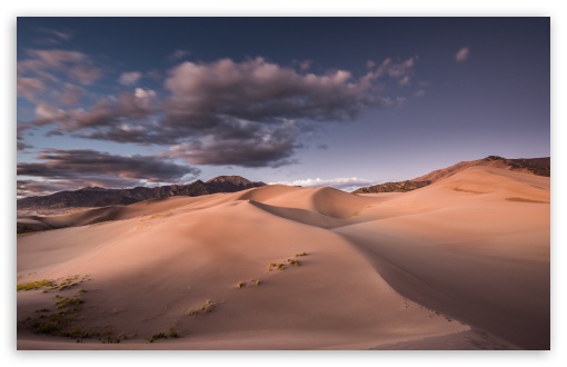 Evening Light Over the Desert Dunes UltraHD Wallpaper for UHD 16:9 ; HD 16:9 ; UltraWide 21:9 24:10 ; Widescreen 16:10 5:3 ; Fullscreen 4:3 5:4 3:2 ; Tablet 1:1 ; Mobile 9:16 9:19.5 9:20 10:16 2:3 3:5 3:4 ;