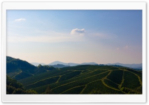 Evergreen Ridge Ultra HD Wallpaper for 4K UHD Widescreen desktop, tablet & smartphone