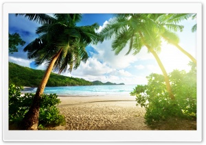 Exotic Island Ultra HD Wallpaper for 4K UHD Widescreen desktop, tablet & smartphone