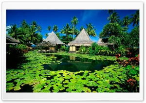 Exotic Resort Ultra HD Wallpaper for 4K UHD Widescreen desktop, tablet & smartphone