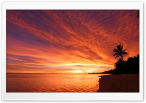 Exotic Sunset Ultra HD Wallpaper for 4K UHD Widescreen desktop, tablet & smartphone