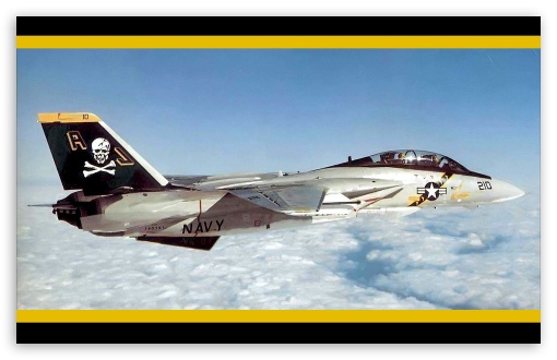 565 F 14 Tomcat Stock Photos HighRes Pictures and Images  Getty Images