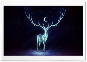 Fabulous Deer Ultra HD Wallpaper for 4K UHD Widescreen desktop, tablet & smartphone