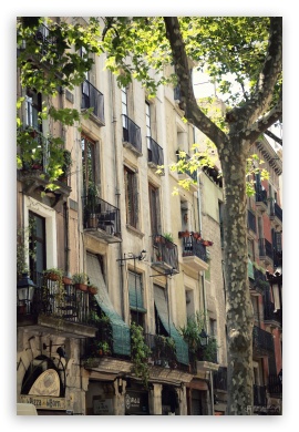 facade - Barcelona UltraHD Wallpaper for Mobile 2:3 ;