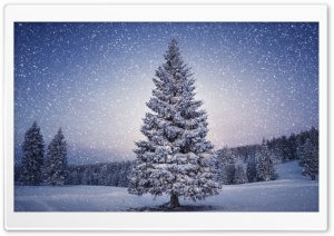 Fairy Tale Winter Ultra HD Wallpaper for 4K UHD Widescreen desktop, tablet & smartphone