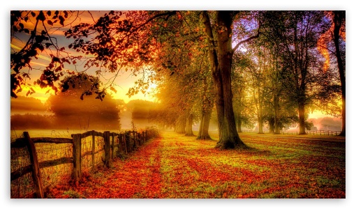 Fall UltraHD Wallpaper for HD 16:9 ;
