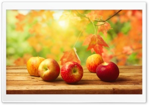 Fall Apples Ultra HD Wallpaper for 4K UHD Widescreen desktop, tablet & smartphone