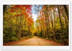 Fall, Autumn, Colors, Travel, Road, Trees, Foliage Ultra HD Wallpaper for 4K UHD Widescreen desktop, tablet & smartphone