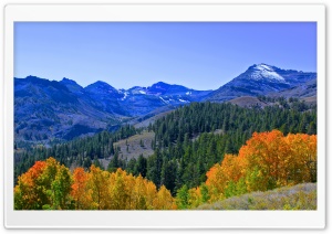 Fall Colors In The Sierra Ultra HD Wallpaper for 4K UHD Widescreen desktop, tablet & smartphone