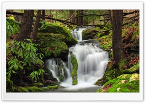 Fall Creek, Forest Ultra HD Wallpaper for 4K UHD Widescreen desktop, tablet & smartphone