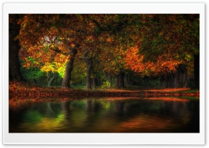 Fall Flood Ultra HD Wallpaper for 4K UHD Widescreen desktop, tablet & smartphone