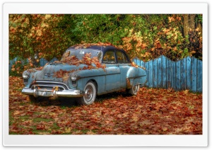 Fall is Here Ultra HD Wallpaper for 4K UHD Widescreen desktop, tablet & smartphone