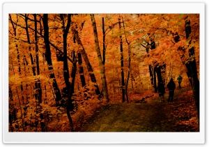 Fall Jogging Ultra HD Wallpaper for 4K UHD Widescreen desktop, tablet & smartphone