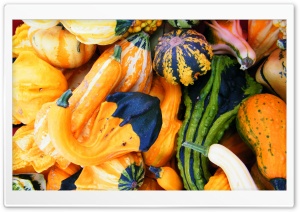 Fall Pumpkins Ultra HD Wallpaper for 4K UHD Widescreen desktop, tablet & smartphone