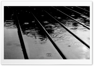 Fall Rain Ultra HD Wallpaper for 4K UHD Widescreen desktop, tablet & smartphone