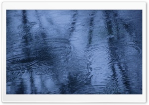 Fall Rain Reflection Ultra HD Wallpaper for 4K UHD Widescreen desktop, tablet & smartphone