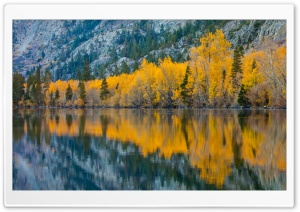 Fall Reflection, Silver Lake, California Ultra HD Wallpaper for 4K UHD Widescreen desktop, tablet & smartphone