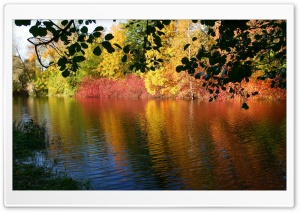 Fall Reflexion Ultra HD Wallpaper for 4K UHD Widescreen desktop, tablet & smartphone