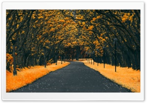 Fall, Road, Nature Ultra HD Wallpaper for 4K UHD Widescreen Desktop, Lockscreen, Screensaver, TV, Tablet, Smartphone