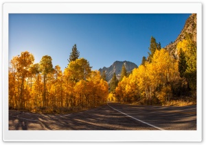 Fall Scenery Ultra HD Wallpaper for 4K UHD Widescreen desktop, tablet & smartphone